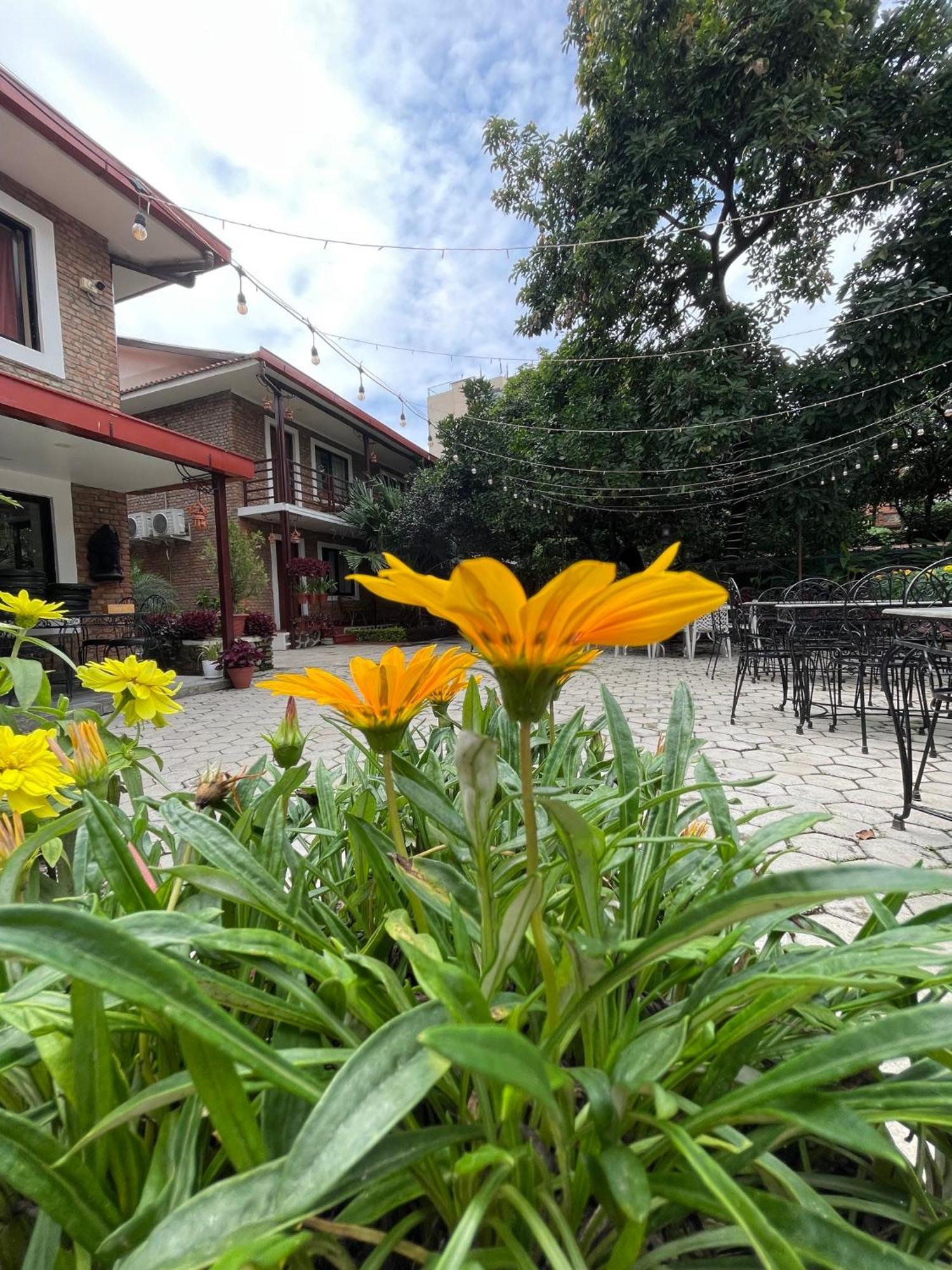 Nepal Cottage Resort Kathmandu Exterior photo